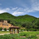 일월산자생화공원 티스토리