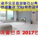 양벌약국 이미지