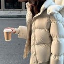 핏투니스 이미지