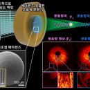 안과 질환 진단 길 활짝… 이중 초점 메타렌즈 광음향 현미경 나와 이미지