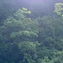 원주농장 이미지