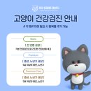 정담 동물메디컬센터 이미지