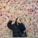 팝스타 코인노래연습장 이미지