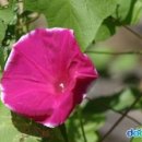 모모동물병원 이미지