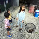 밤개울캠핑장 | 서울 근교 철원캠핑장 밤개울캠핑장 아이들과 가을캠핑 구름타프 사이트 추천