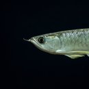 금용농장 이미지