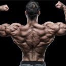 SOLID FITNESS 이미지