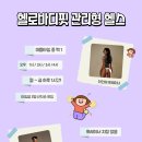 바디핏 이미지