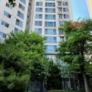 경기도 수원시 팔달구 권광로 246 (인계동, 래미안 노블클래스) 이미지