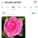 지금이라도 피아노 배워보고 싶다!!!!