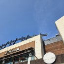 테라스커피숍 | 칠곡 낙동강 뷰 맛집, 로투스 커피숍 방문 후기 동화연 식사 후 필수 코스