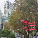 출장이었지만 가장 여행 같았던 시간, Vivid Sydney 2026 후기