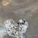 숲냥숲냥 이미지