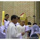 성유목장 이미지