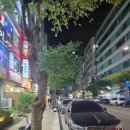 상동 | 깡통막창 부천상동 후기 | 돼지막창+우리생갈비+돼지껍데기 인심 대박 맛집