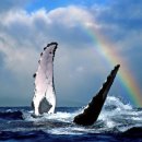 (주)초록숲환경 이미지