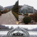 푸른분재원 이미지