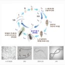 포석정식당 이미지