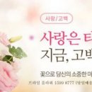 우아프라임 이미지