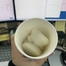 한설기정떡 | 비숑떡을 아시나요?! 식사대용떡으로 딱 좋은 쫄깃쫄깃 '한설기정떡'