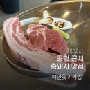 해안돗괴기집 | 제주 공항 근처 흑돼지 맛집 해안돗괴기집 후기