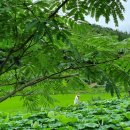 청연마을 이미지