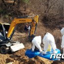 이병렬 농장 이미지