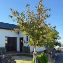 온게스트하우스 | 곽지해수욕장 게스트하우스 ‘곽지로온’ 혼자 여행 숙소, 소규모 게하 후기