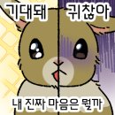 메타포션 | 오랜만의 엘소드 복귀 후기