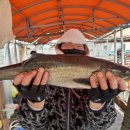 씨엔텔 민박 이미지