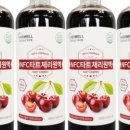 에스피파인