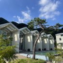 파인트리 스테이 이미지