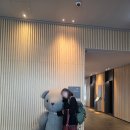 배드보이 | 여수여행> 신라스테이여수 , 오션랜덤배정후기->결국 남은 트윈배드만 있었 던 것