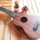 톡톡 우쿨렐레 이미지