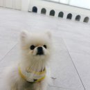 창원 서울산부인과의원 여의사 선생님께 질염 치료 후기와 정보