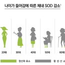 제타리움의원 이미지