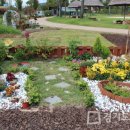 봉일천교 이미지