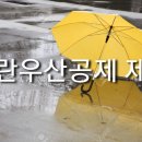 정연세무회계 이미지