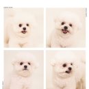 시흥시청 | 시흥 시청 앞 사진관 이백스튜디오 후기