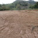 행운조은공인중개사사무소 이미지