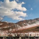 띵킹 독(Thinking Dog) 이미지