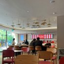 [디저트 후기]파리바게트 아이스크림 6종, 금정떡마을, 완전두유, 팀홀튼 도넛, 하겐다즈