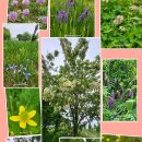 낙동강관리본부 화명생태공원 2 | 부산 북구의 숨겨진 보물, 화명생태공원에서 힐링타임! 🌼