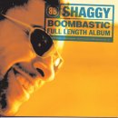 Shaggy - In The Summertime 이미지