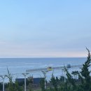 계화목장 | 해운대 청사포 해변열차 스카이캡슐 오션뷰 카페 오션브리즈