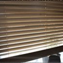 나무안에서 이미지