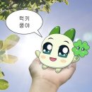 안양 중앙시장 소고기 투뿔 한우 맛집 ‘내일정육점&amp;내일식당’ 내돈내산 후기
