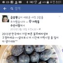(주)블루베리코리아 이미지