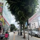 대림그랑프리안경 이미지