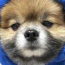 0909-0012 네이버블로그